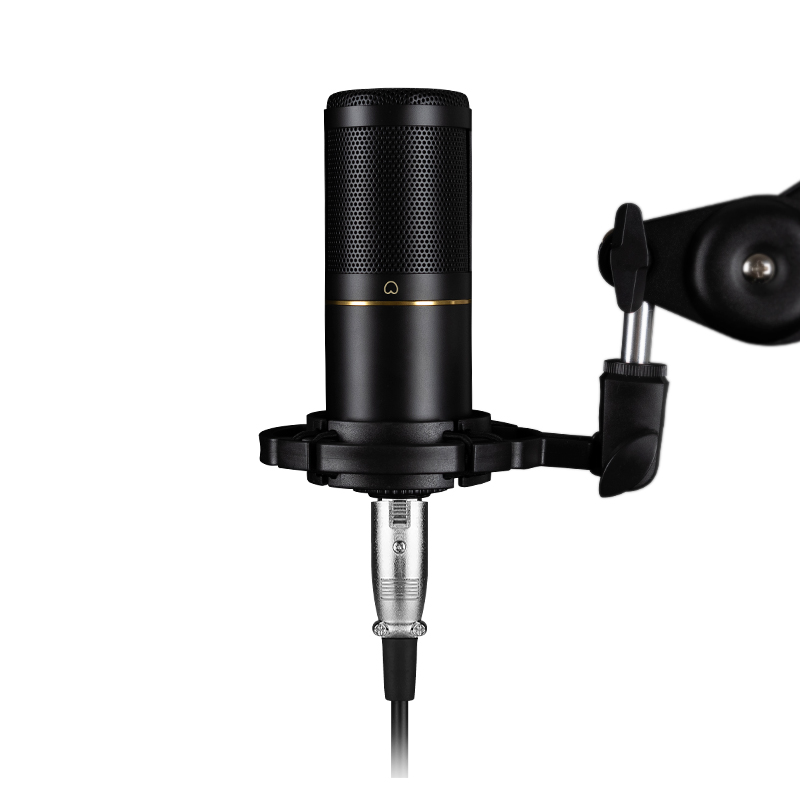 Xlr Microphone Condenser - Micrófono de Condensador XLR Profesional para