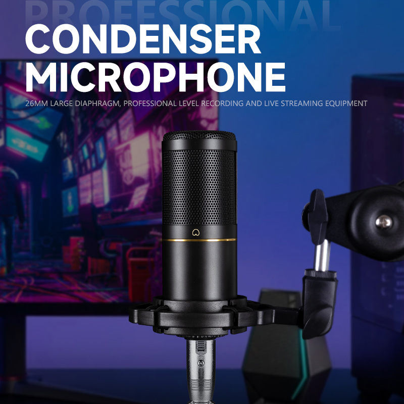Micrófono de Condensador XLR P - Xlr Microphone Condenser reseña y precio