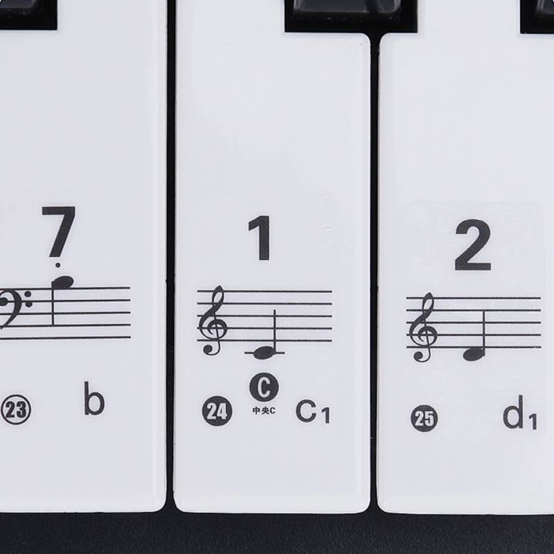 Pegatinas transparentes extraí - Keyboard Piano 61 Key reseña y precio