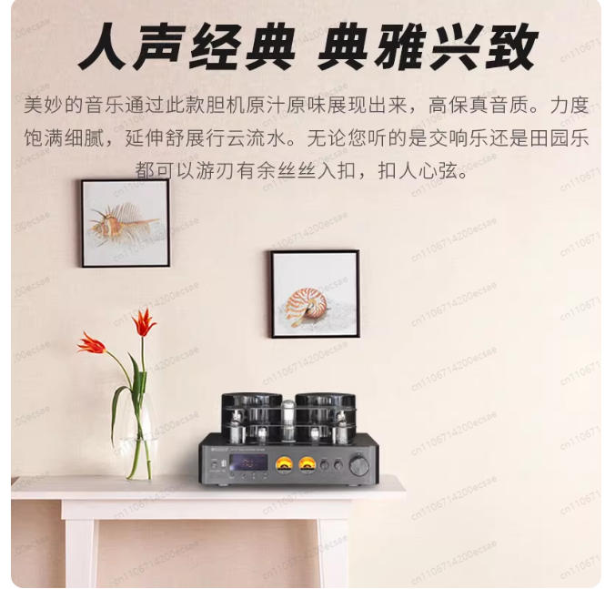 Amplificador de Potencia de Tu - Audio Music In Youtube reseña y precio