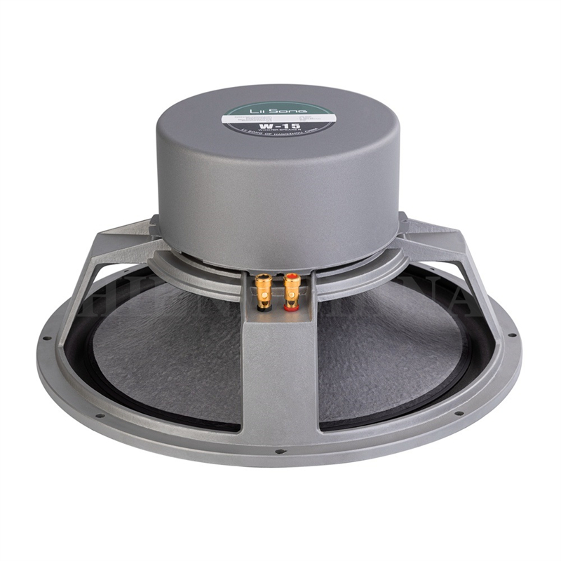 LS-02 Lii Song W-15 altavoz Wo - Audio Music Songs reseña y precio