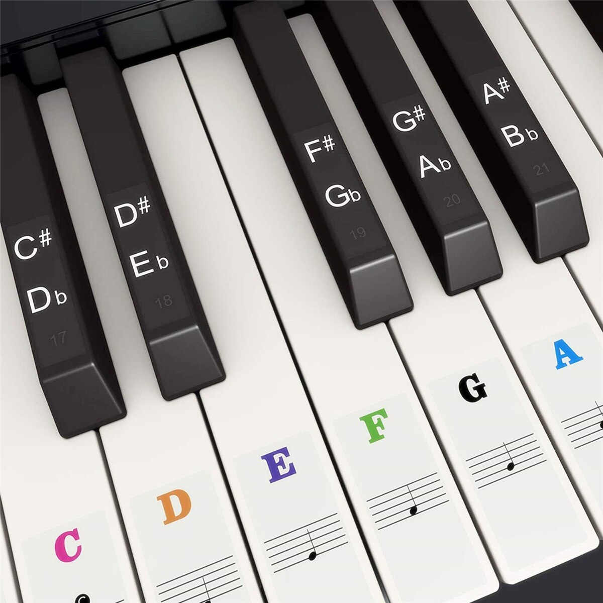 Pegatinas para Teclado de Pian - Keyboard Piano 61 Key reseña y precio
